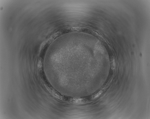 X0000073890472200609011657