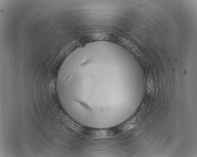 X0000073890473200609011657