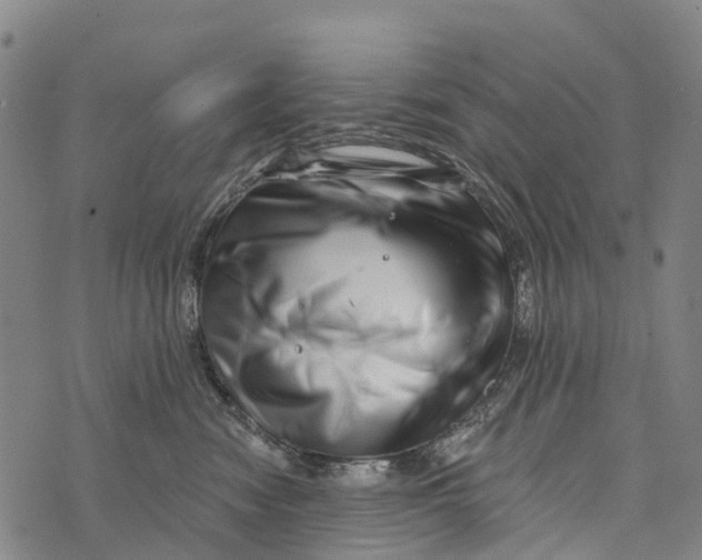 X0000073890474200609011658