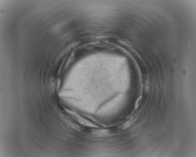 X0000073890476200609011658