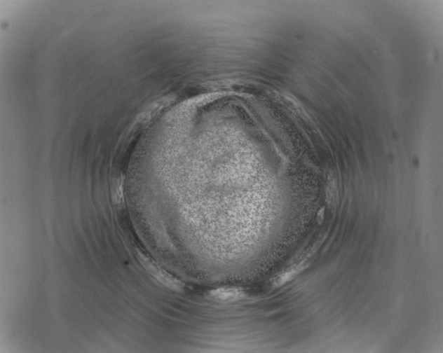 X0000073890477200609011658