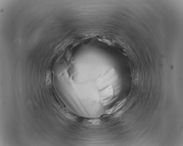 X0000073890478200609011658