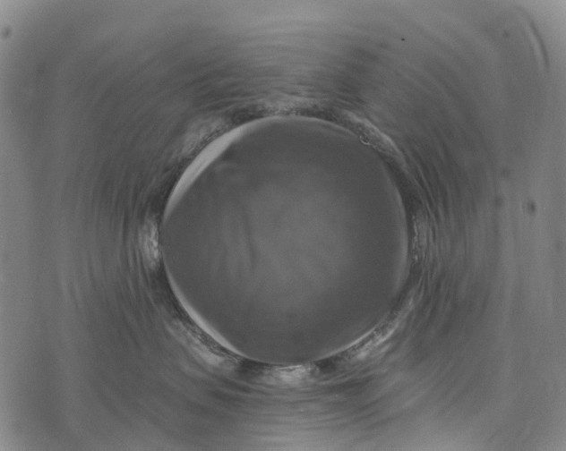 X0000073890479200609011658