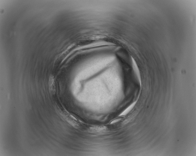 X0000073890480200609011658