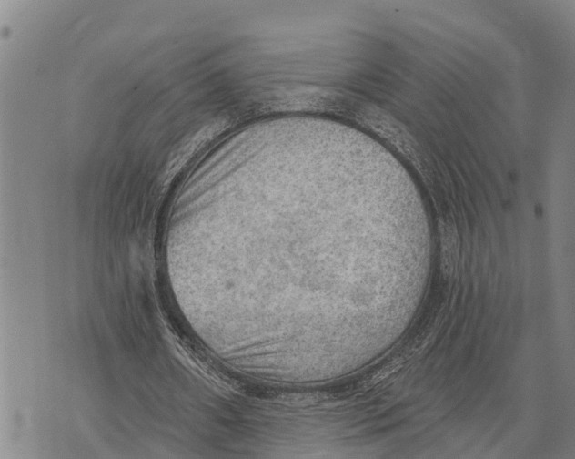 X0000073890482200609011657