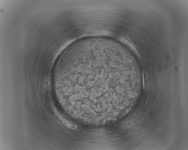 X0000073890483200609011657