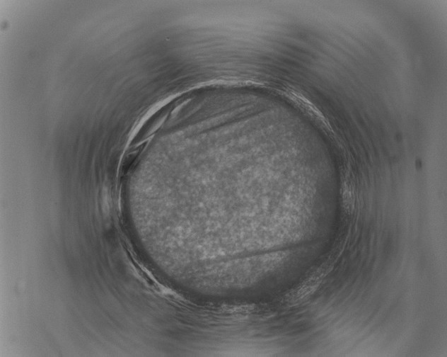 X0000073890484200609011657