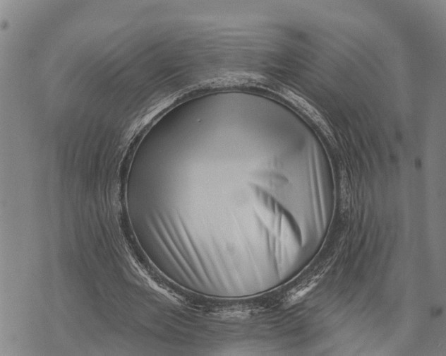 X0000073890485200609011657