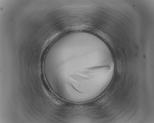 X0000073890486200609011657