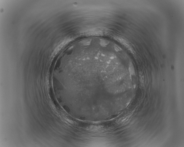 X0000073890487200609011657