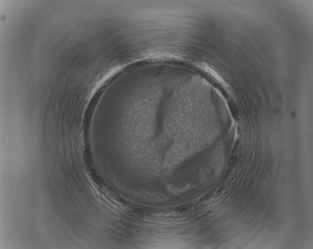 X0000073890488200609011657