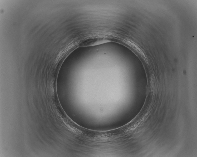 X0000073890489200609011657