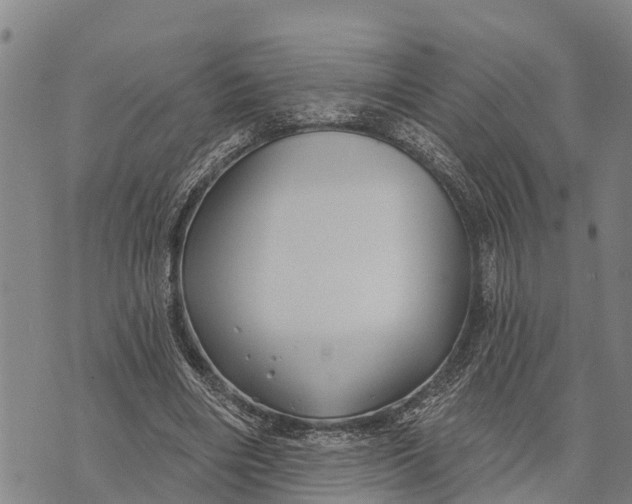 X0000073890490200609011657