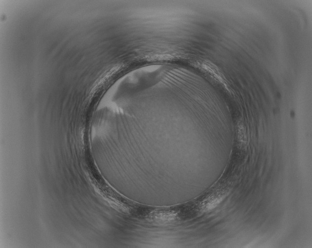 X0000073890491200609011657