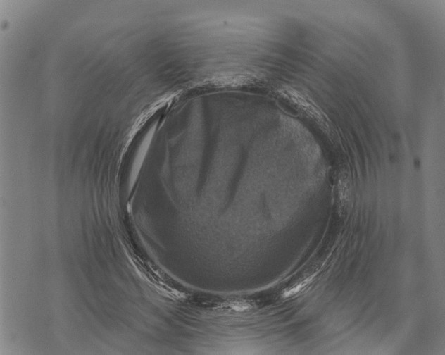 X0000073890492200609011657