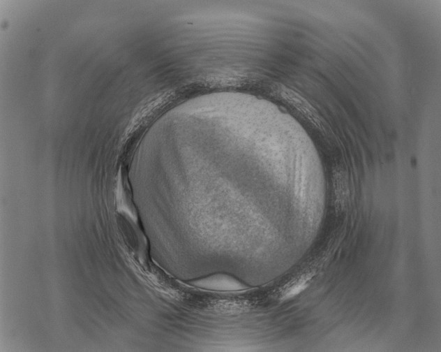 X0000073890494200609011657