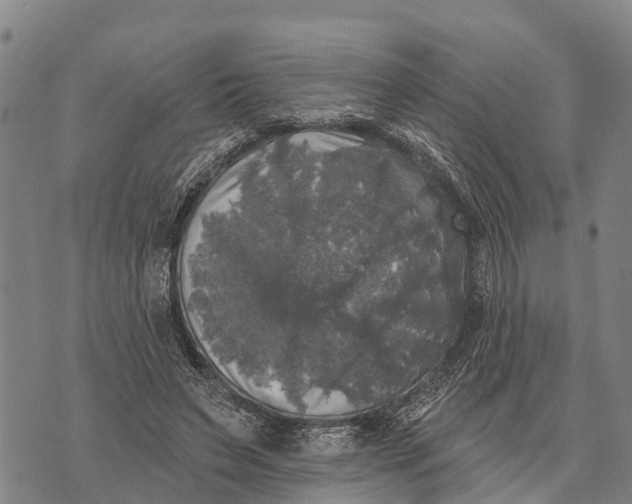 X0000073890495200609011657