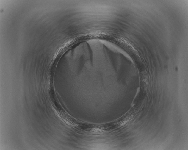 X0000073890496200609011657