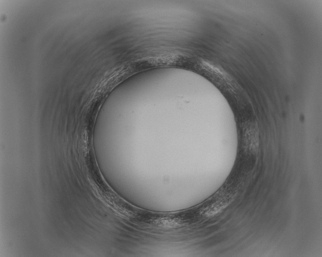 X0000073890498200609011657