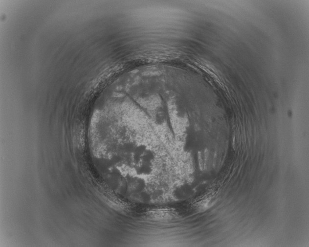 X0000073890499200609011657