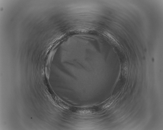 X0000073890500200609011657