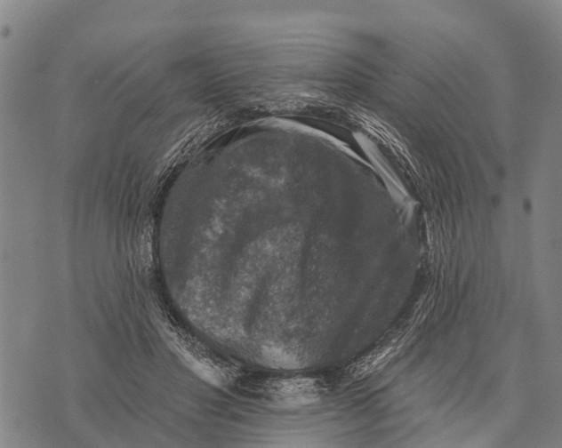 X0000073890501200609011657