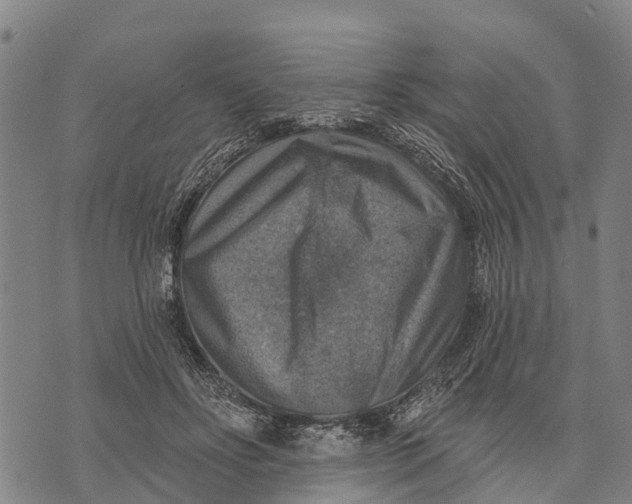 X0000073890502200609011656