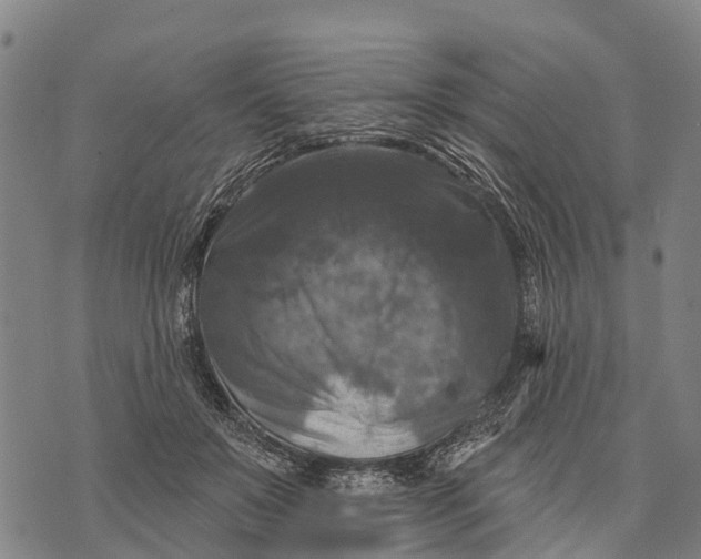 X0000073890503200609011656