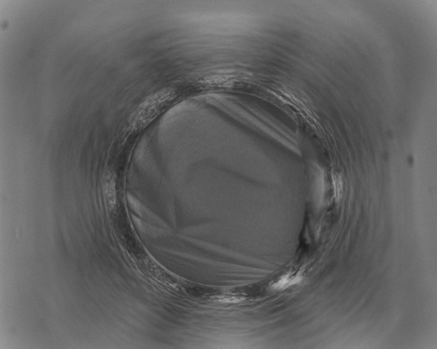 X0000073890504200609011656