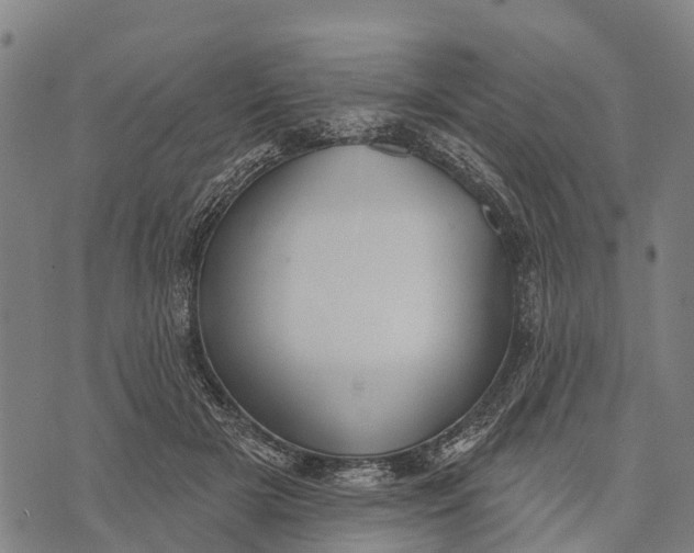 X0000073890505200609011656