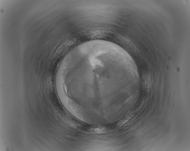 X0000073890506200609011656