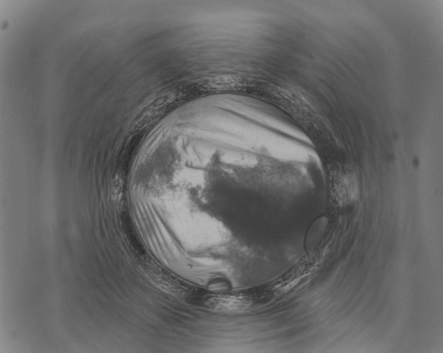 X0000073890507200609011656