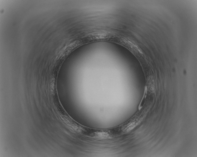 X0000073890509200609011656