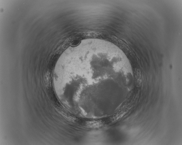 X0000073890511200609011656