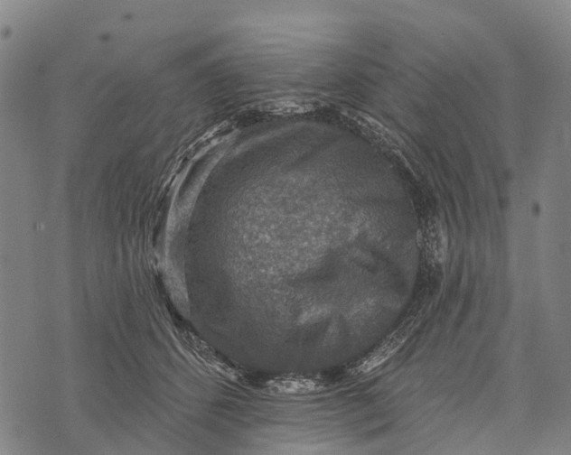 X0000073890512200609011656