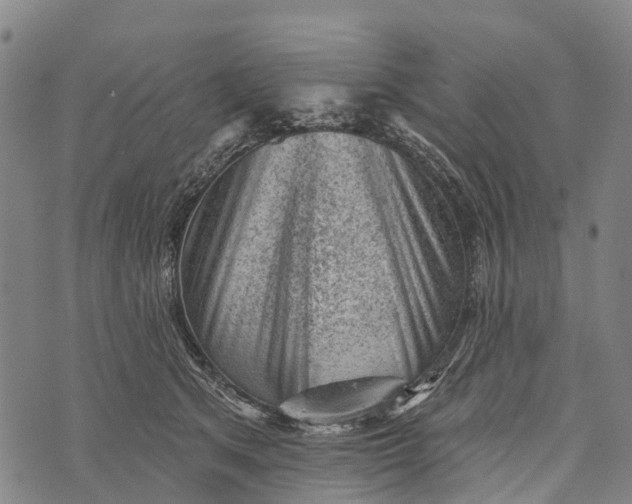 X0000073890513200609011656