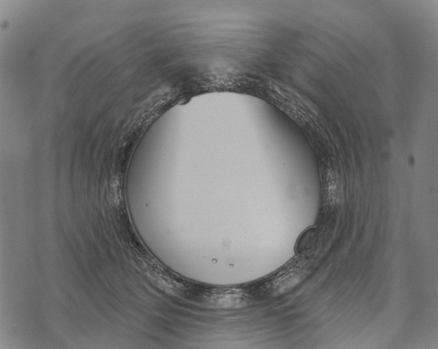 X0000073890514200609011656