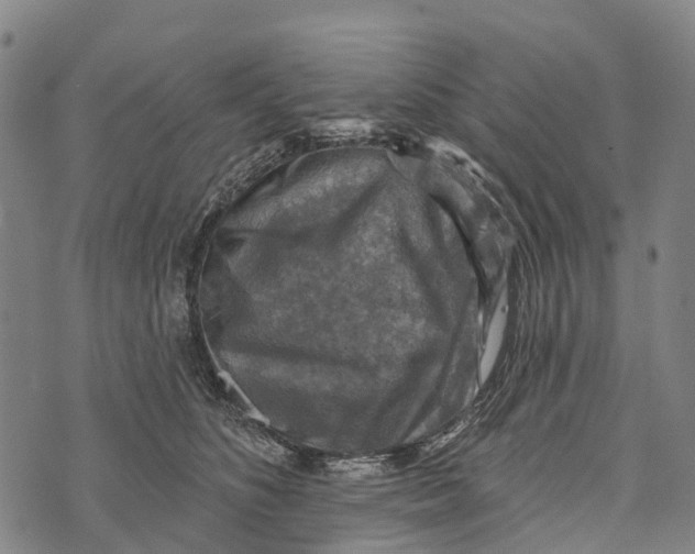 X0000073890516200609011656