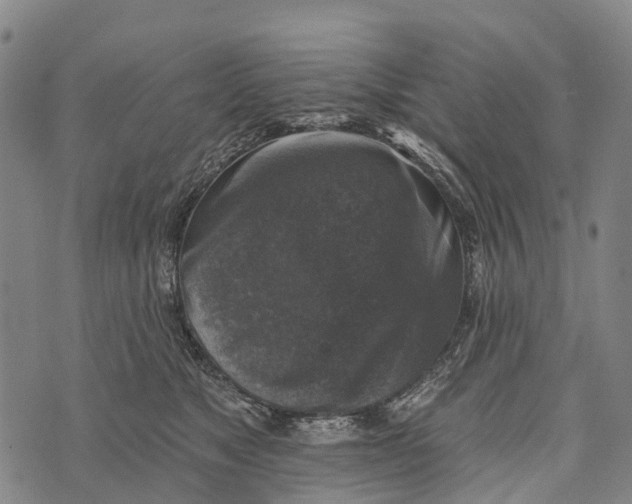 X0000073890517200609011656