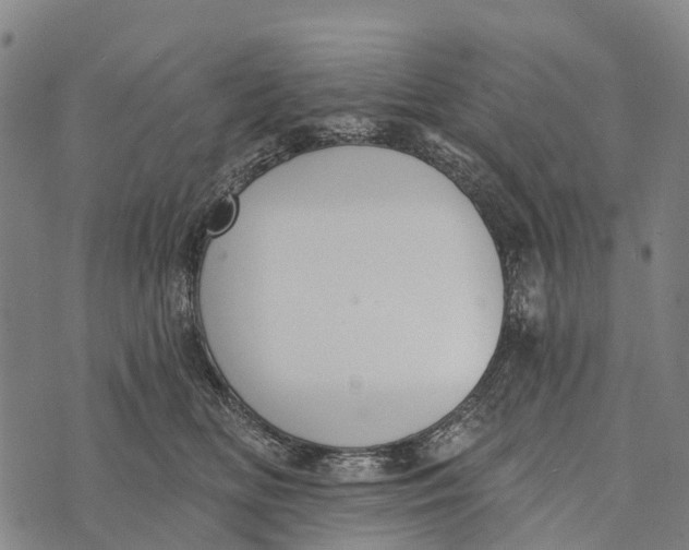 X0000073890518200609011656