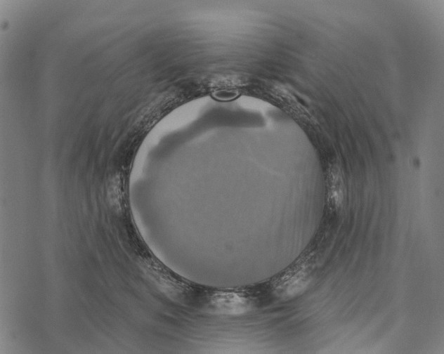 X0000073890519200609011656