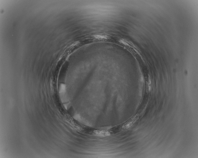 X0000073890520200609011656