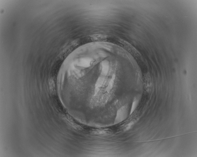 X0000073890523200609011656