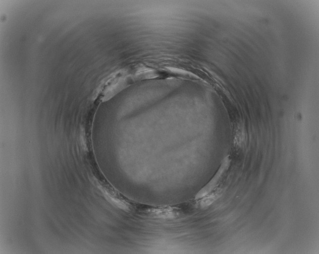 X0000073890524200609011656