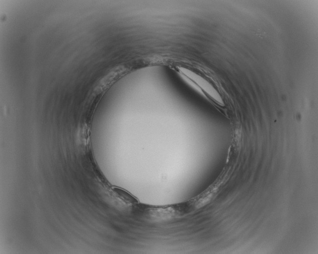 X0000073890525200609011656