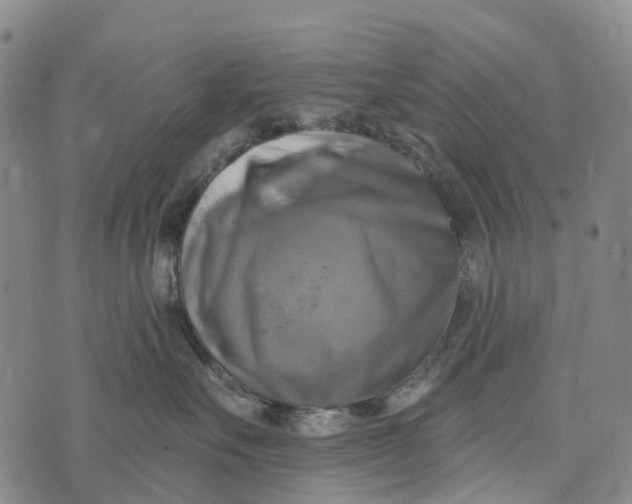 X0000073890527200609011656