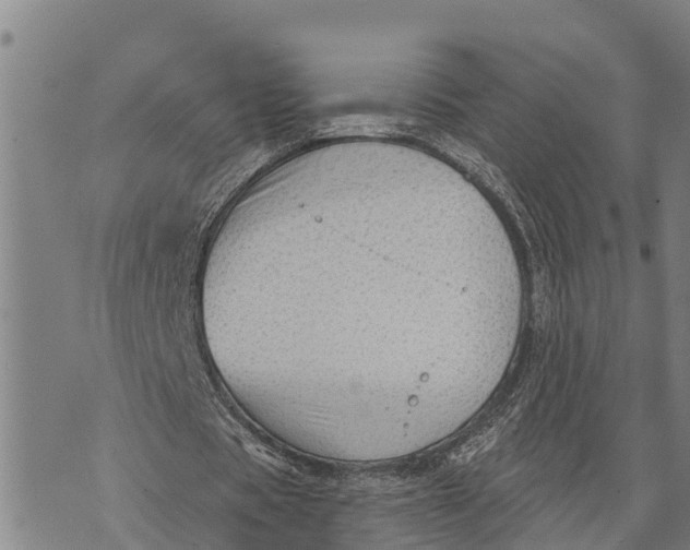 X0000073890529200609011655