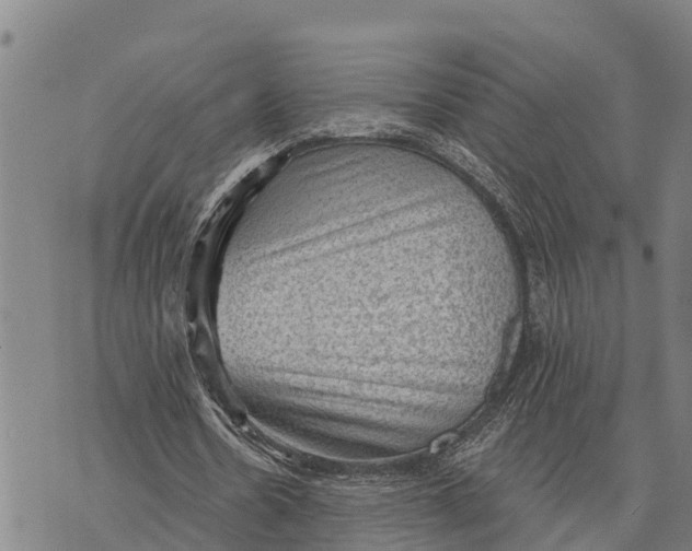 X0000073890530200609011655