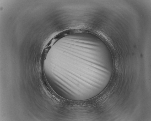 X0000073890532200609011655