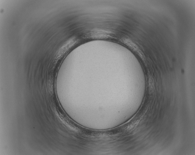 X0000073890533200609011655